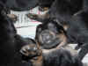 DSC01067.JPG (62820 octets)