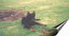 Arkoterrain.jpg (32524 octets)