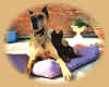 Anka et Boss original.jpg (45705 octets)