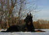 aramix9m couche neige.jpg (50796 octets)