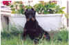 axel09062001-2.jpg (72274 octets)