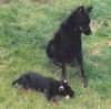 axel10062001-1.jpg (42945 octets)