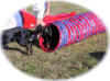 axel agility2.jpg (78812 octets)